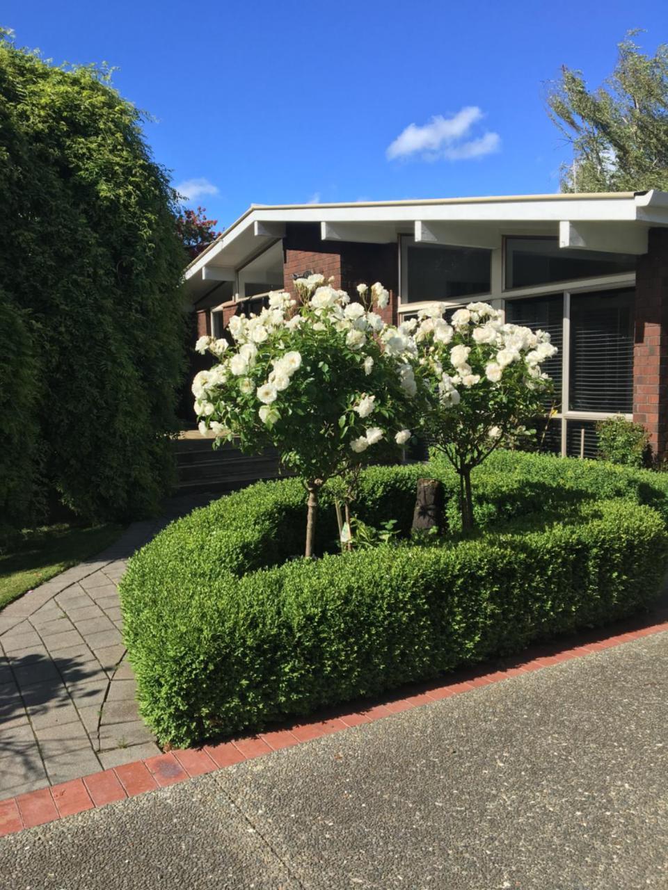 Quiet Boutique Generous Breakfast Hotel Palmerston North Exterior foto